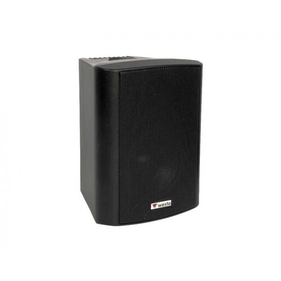 WS-6B Speakers
